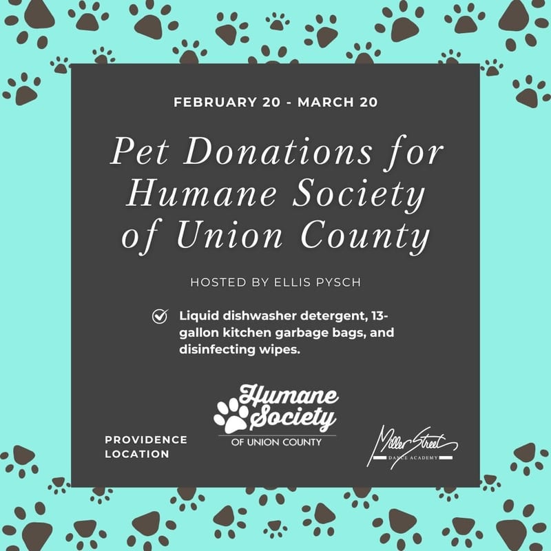 Pet Donations collection for local shelter animals